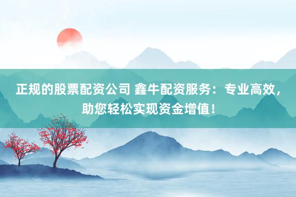 正规的股票配资公司 鑫牛配资服务：专业高效，助您轻松实现资金增值！