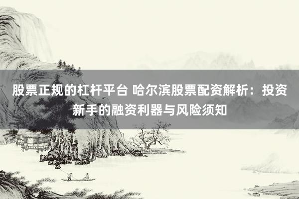 股票正规的杠杆平台 哈尔滨股票配资解析：投资新手的融资利器与风险须知