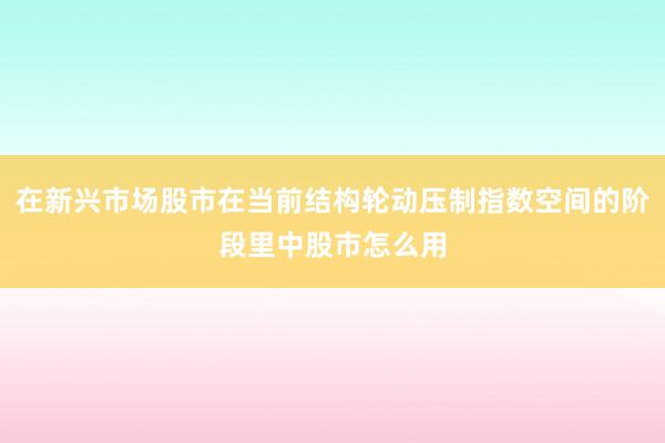 在新兴市场股市在当前结构轮动压制指数空间的阶段里中股市怎么用