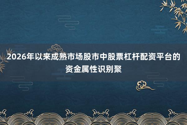2026年以来成熟市场股市中股票杠杆配资平台的资金属性识别聚