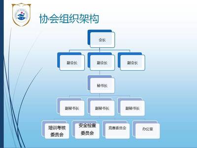 《上海市游泳救生协会组织架构与管理模式》